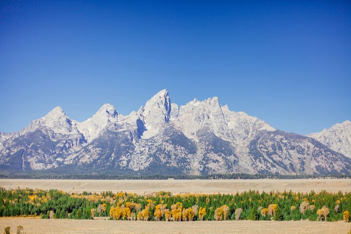 Visita guiada de 3 días a Yellowstone, Grand Teton y Jackson Hole