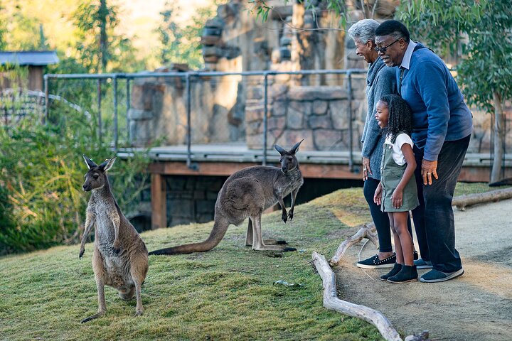 San Diego Zoo 1 - Pase de un día : Cualquier billete de un día