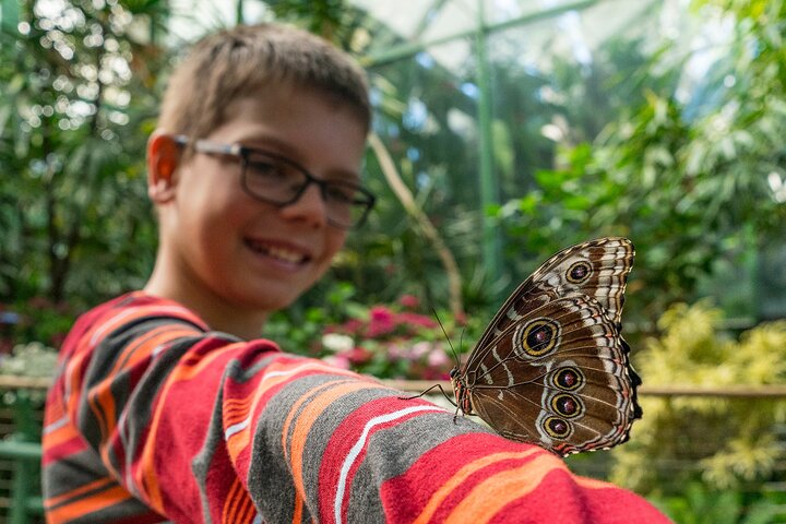 San Diego Zoo 1 - Pase de un día : Cualquier billete de un día