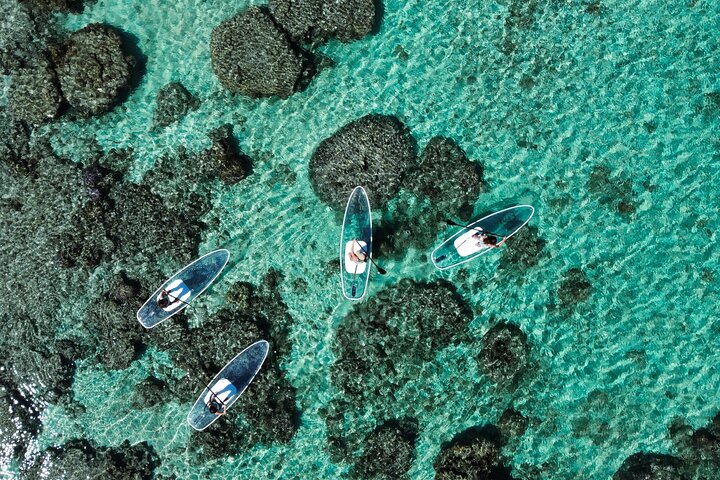 Miyakojima 《Chartered》》With drone photography|Clear SUP & Sea Turtle Snorkel Tour|No additional charge|Full refund guarantee|Free rental and photography