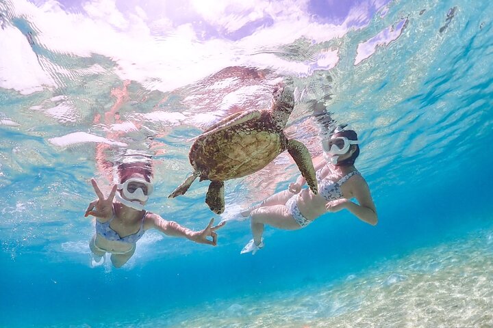 Miyakojima 《Chartered》》With drone photography|Clear SUP & Sea Turtle Snorkel Tour|No additional charge|Full refund guarantee|Free rental and photography