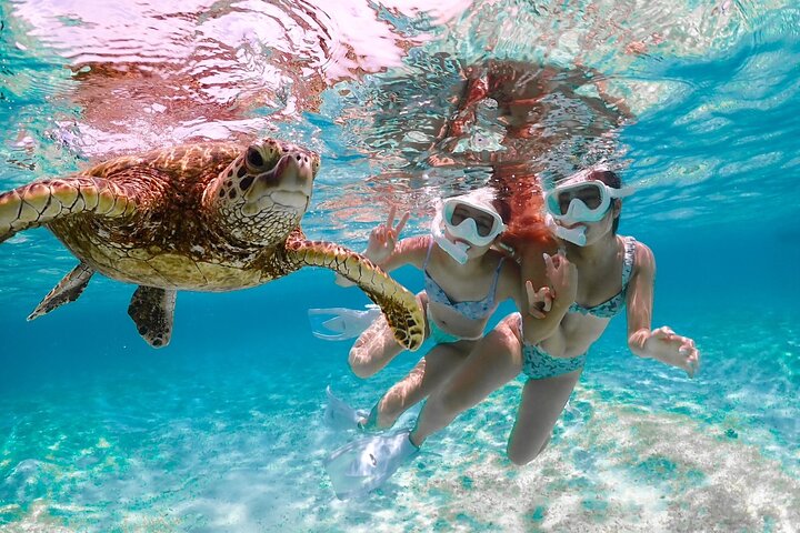 Miyakojima 《Chartered》》With drone photography|Clear SUP & Sea Turtle Snorkel Tour|No additional charge|Full refund guarantee|Free rental and photography