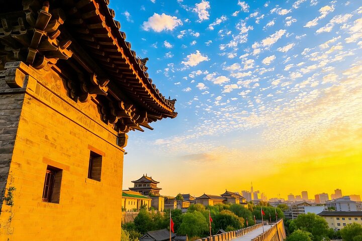 Viagem privada de Zhengzhou aos guerreiros de terracota de Xi'an e muralha da cidade de trem bala
