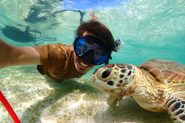 Billig Miyakojima (Clear SUP & havskildpaddesnorkling) Ingen ekstra omkostninger | Fuld refusionsgaranti | Gratis leje og billeder | Fra 1 år!
