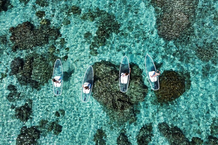 Miyakojima 《Chartered》》With drone photography|Clear SUP & Sea Turtle Snorkel Tour|No additional charge|Full refund guarantee|Free rental and photography