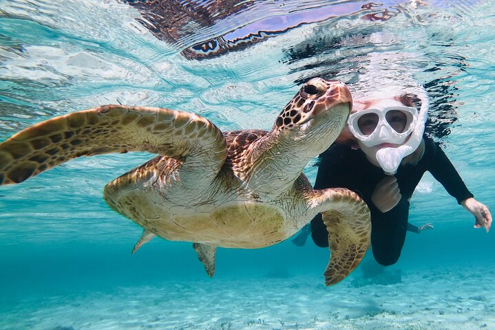 Miyakojima 《Chartered》》With drone photography|Clear SUP & Sea Turtle Snorkel Tour|No additional charge|Full refund guarantee|Free rental and photography