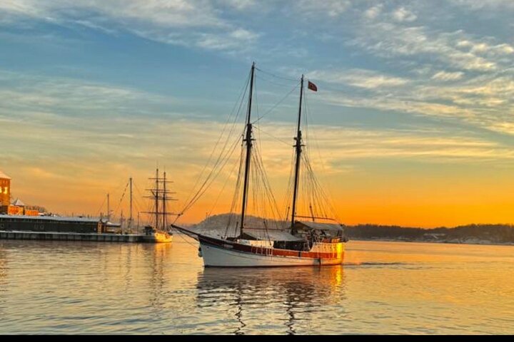 2 - Crucero turístico de una hora por el fiordo de Oslo