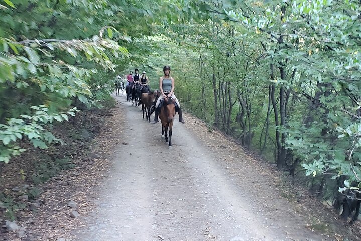 Reittour durch den Dzoraget Canyon