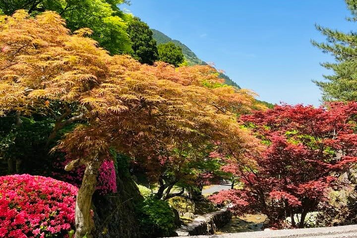 Randonnée de pèlerinage en montagne sacrée du mont Hiko et histoire de Yamabushi