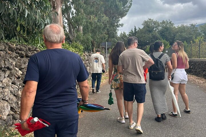 Excursion au volcan Etna, dégustation de vins, déjeuner dans un domaine viticole et transfert