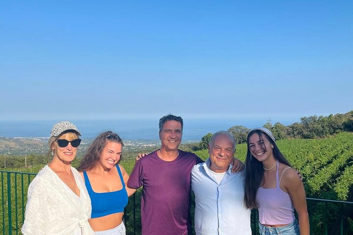 Excursion au volcan Etna, dégustation de vins, déjeuner dans un domaine viticole et transfert