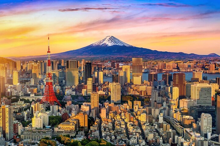 Tour privado de Tóquio de carro com motorista de língua Inglês (Premium)