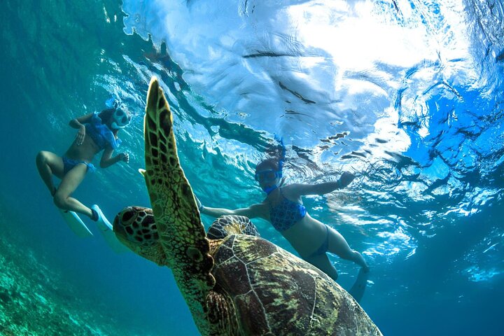 Nuota con le tartarughe e fai snorkeling a Marsa Mubarak Bay