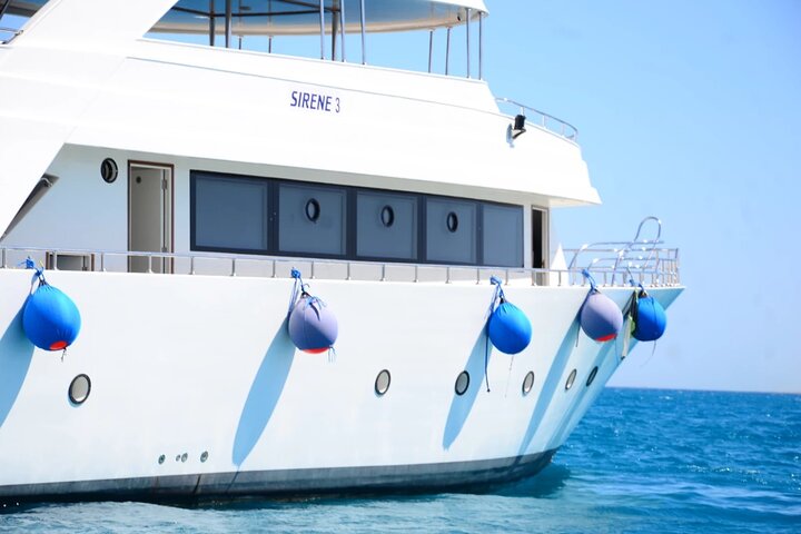 Nuota con le tartarughe e fai snorkeling a Marsa Mubarak Bay