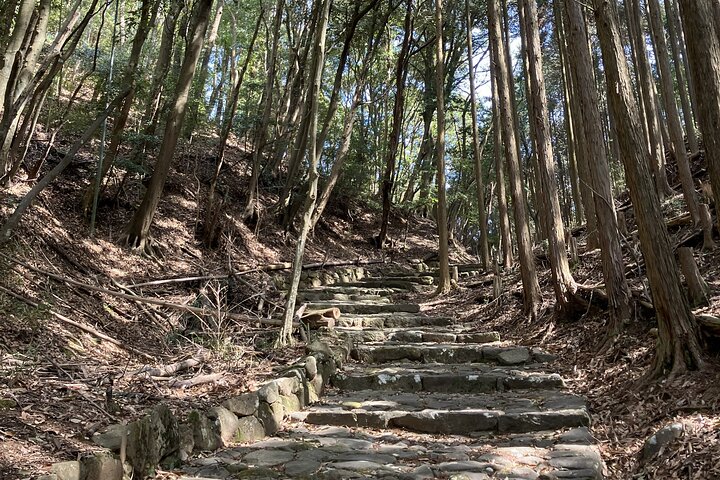 Randonnée de pèlerinage en montagne sacrée du mont Hiko et histoire de Yamabushi
