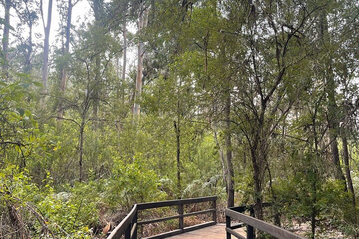 Margaret River, Caves, Wine og Cape Leeuwin fyrturné fra Perth