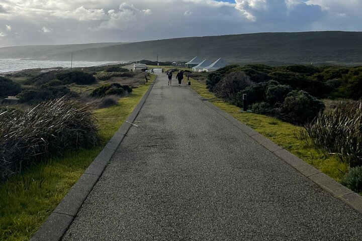Margaret River, Caves, Wine og Cape Leeuwin fyrturné fra Perth