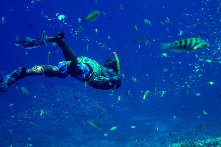 Pemba : 5 dagen pure gelukzaligheid op het verborgen groene paradijs van Zanzibar