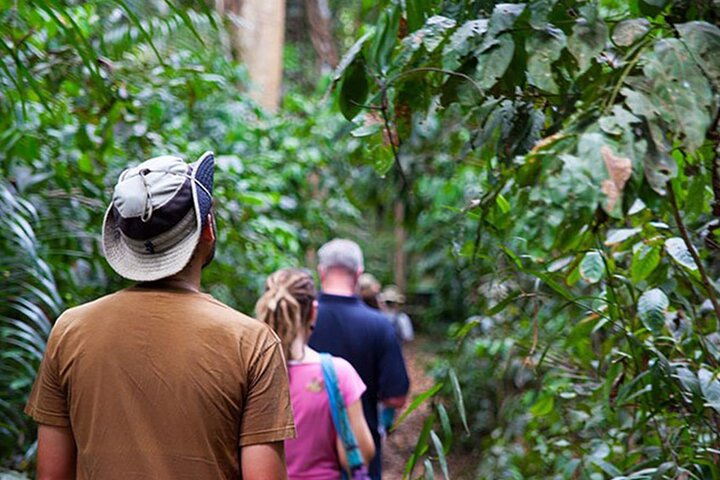 Pemba : 5 dagen pure gelukzaligheid op het verborgen groene paradijs van Zanzibar
