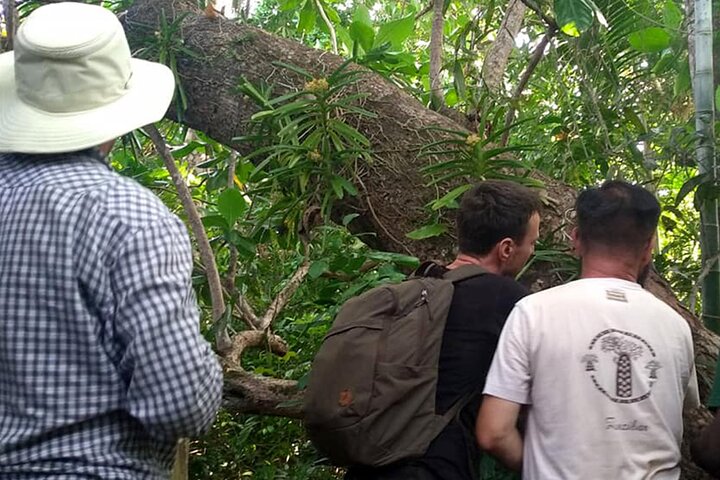 Pemba : 5 dagen pure gelukzaligheid op het verborgen groene paradijs van Zanzibar