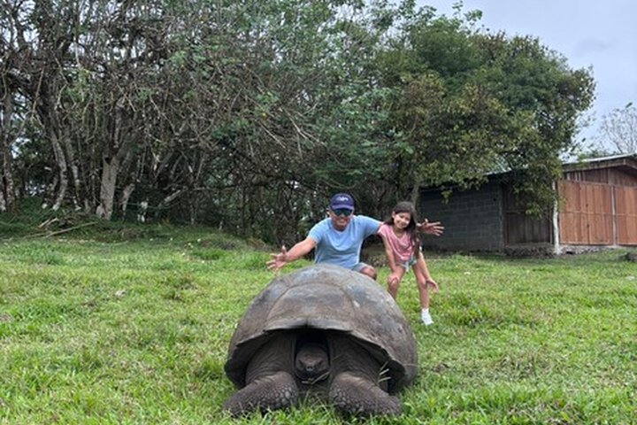 Visite des hauts plateaux de Santa Cruz avec des tunnels de tortue et de lave