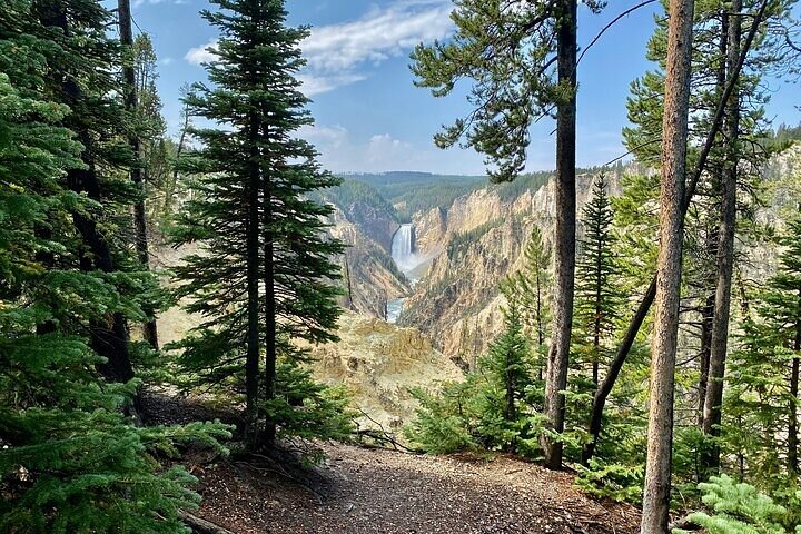Yellowstone Grand Teton & Jackson Hole 5-dagars guidad tur