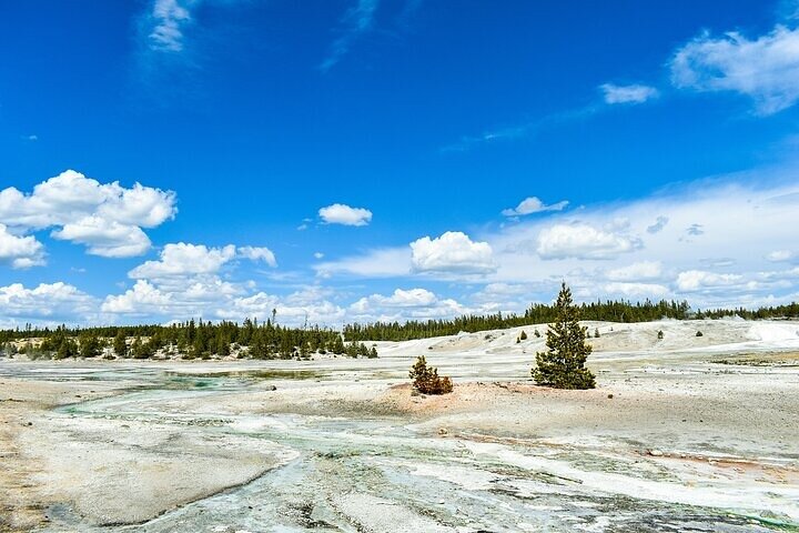 Yellowstone Grand Teton & Jackson Hole 5-dagars guidad tur