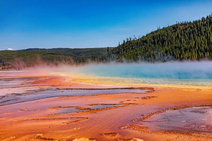 Yellowstone Grand Teton & Jackson Hole 5-dagars guidad tur