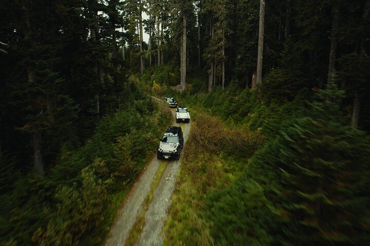Whistler Morning avec les Bears Land Rover Visite panoramique