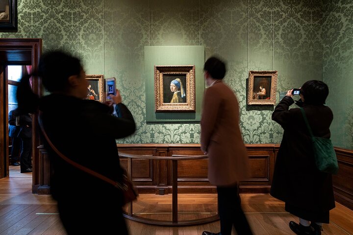 Mauritshuis Museum Den Haag - privat guidet tur med indgang