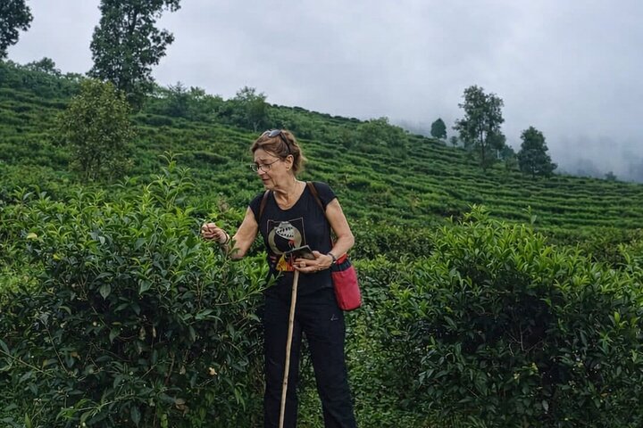 Authentische Pokhara - 2 Tage voller Erlebnisse