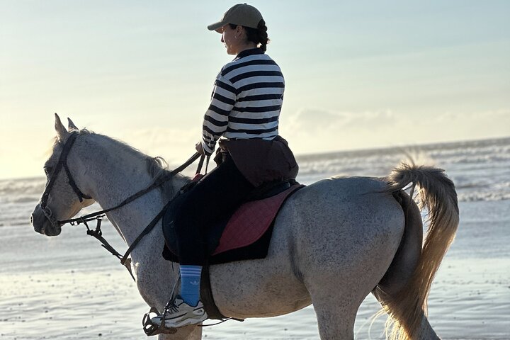 Paseos a caballo en Essaouira - Essaouira HorseRiding
