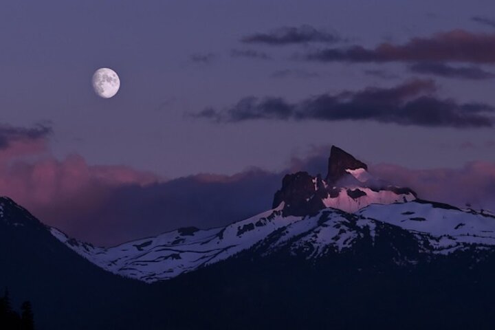 Whistler Morning avec les Bears Land Rover Visite panoramique