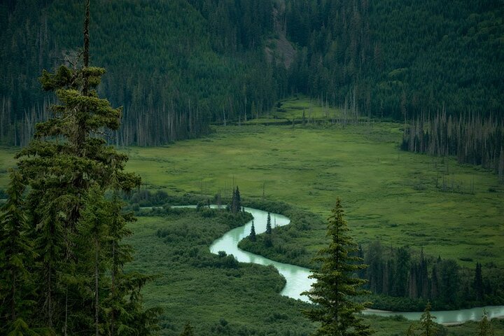 Whistler Morning avec les Bears Land Rover Visite panoramique