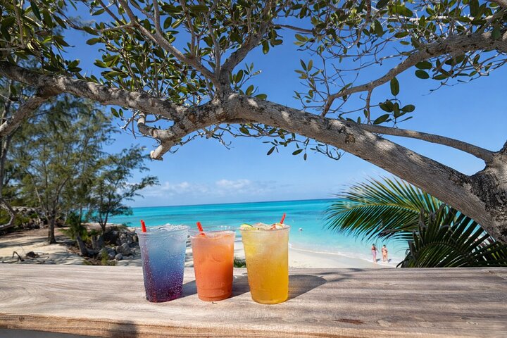 Nassau Swimming Pigs and Private Beach Club Escape