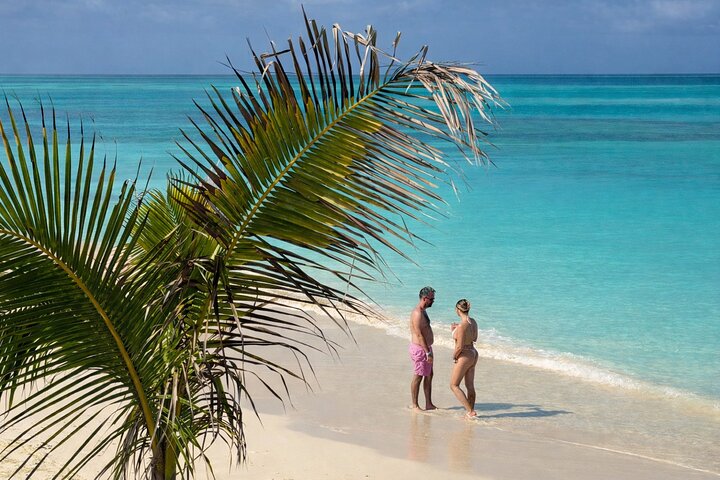 Nassau Swimming Pigs and Private Beach Club Escape