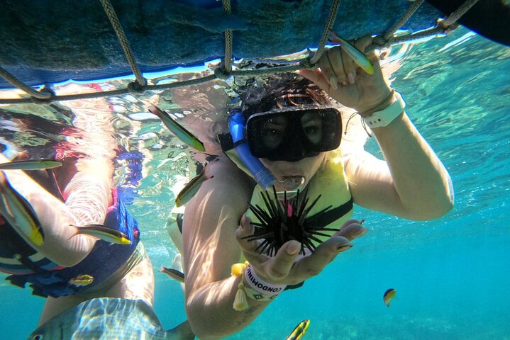 Zipline und Schnorchel Abenteuer in Ixtapa Zihuatanejo