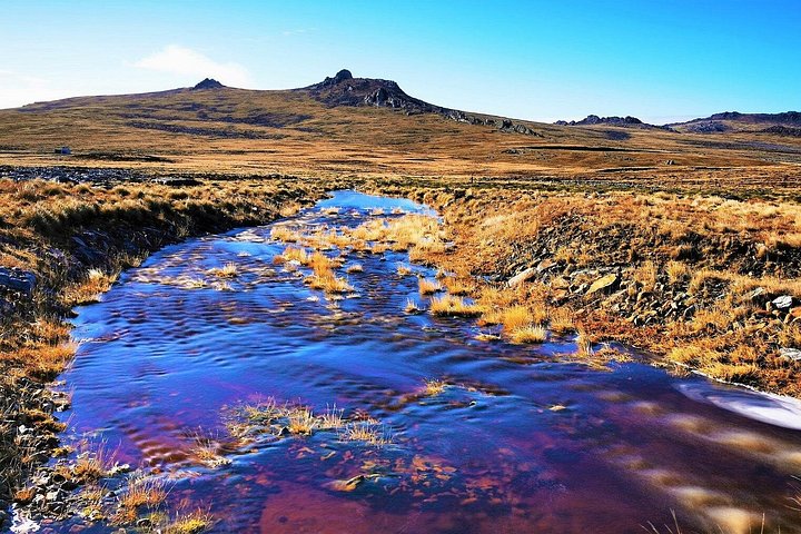 Argentine Military Cemetery, Penguins and Island Highlights