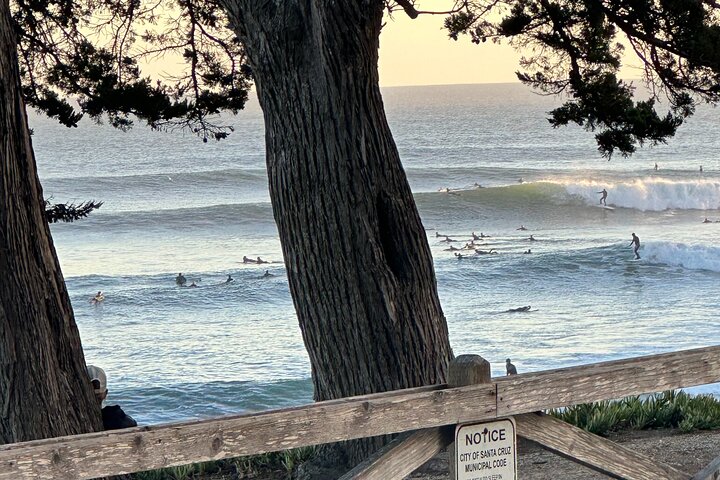 Santa Cruz Surf Walk : Tour de historia y cultura