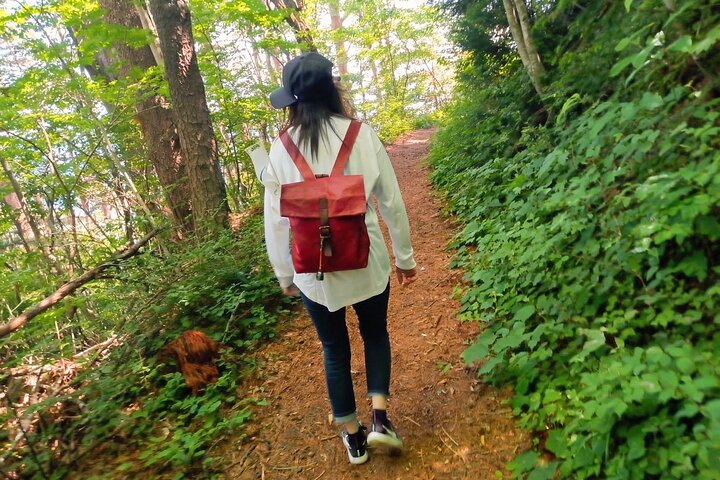 Oostelijkste punt van het vasteland van Japan, Michinoku Coastal Trail Hike
