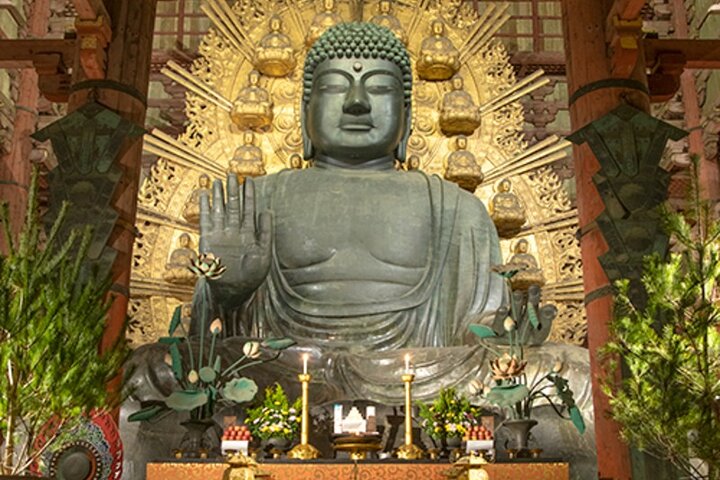 Nara Private Custom Tour|Heliga rådjur, tempel och tidlös natur
