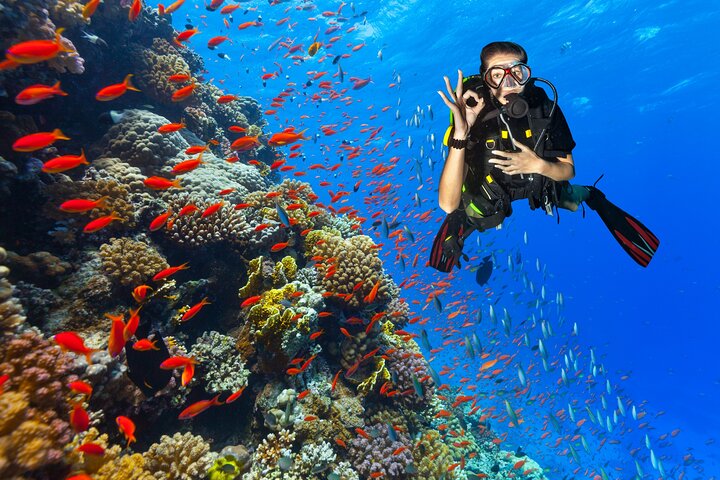 Sharm El Sheikh: Ras Mohammed & White Island Luxury Yacht Trip
