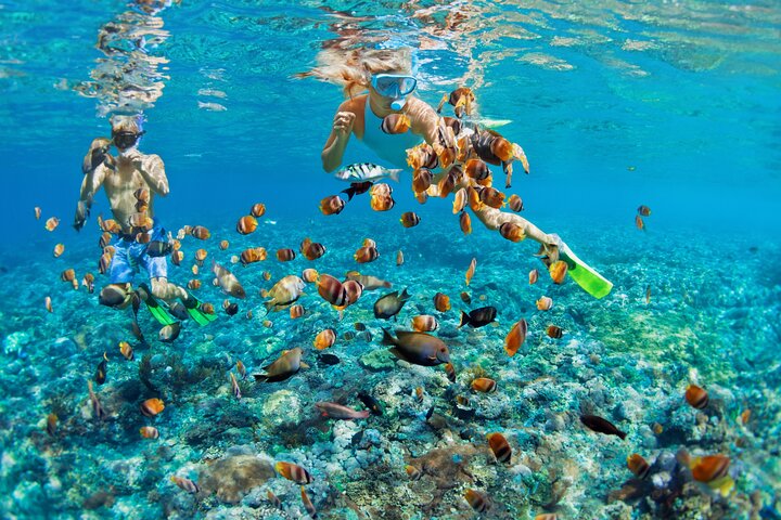 Sharm El Sheikh: Ras Mohammed & White Island Luxury Yacht Trip