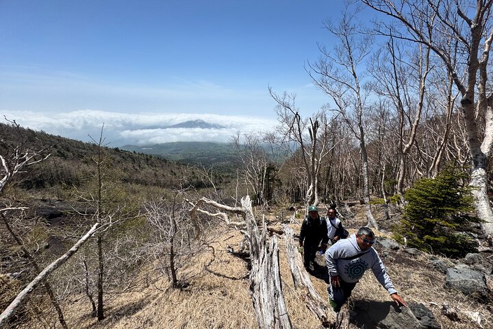 Private Mt. Fuji Hoei Crater Hiking and Sightseeing Tour