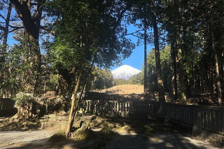 Private Mt. Fuji Hoei Crater Hiking and Sightseeing Tour
