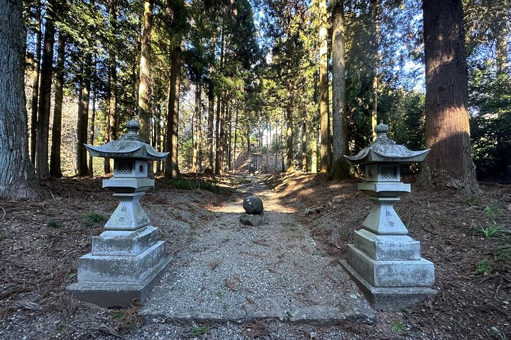 Private Mt. Fuji Hoei Crater Hiking and Sightseeing Tour