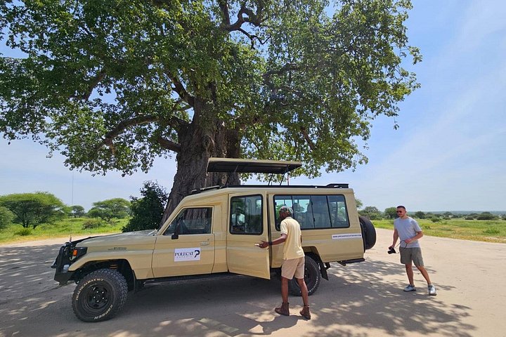 2-dagers privat luksussafari: Tarangire og Ngorongoro Tanzania
