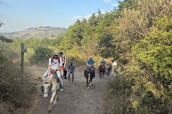 Epic Pacaya Volcano Horseback Tour w/ Pizza & Marshmallows