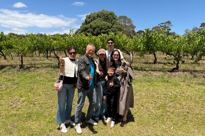 Punti salienti di Adelaide, degustazione di vini e giro turistico di Hahndorf e McLaren Vale
