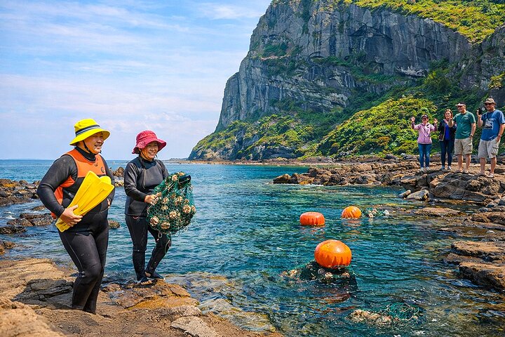 Ganztägige geführte Tour zu den UNESCO-Stätten im Osten der Insel Jeju